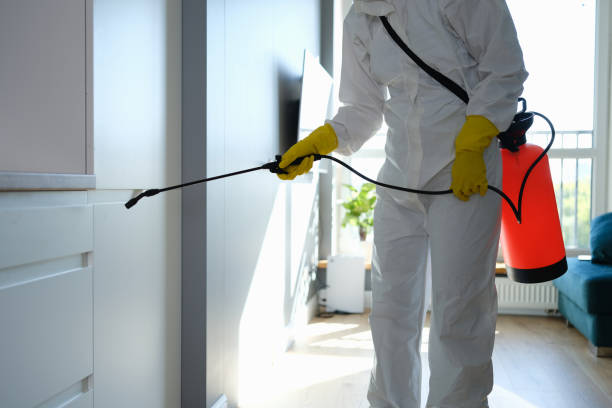 Best Professional Mold Removal  in Tool, TX