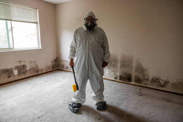 Best Mold Removal and Inspection  in Tool, TX